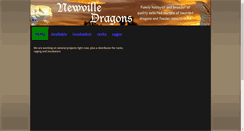 Desktop Screenshot of newvilledragons.com